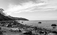 By the Shore 9